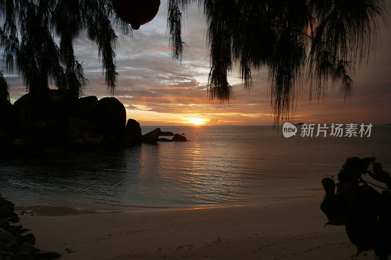 Anse ship, Praslin，塞舌尔